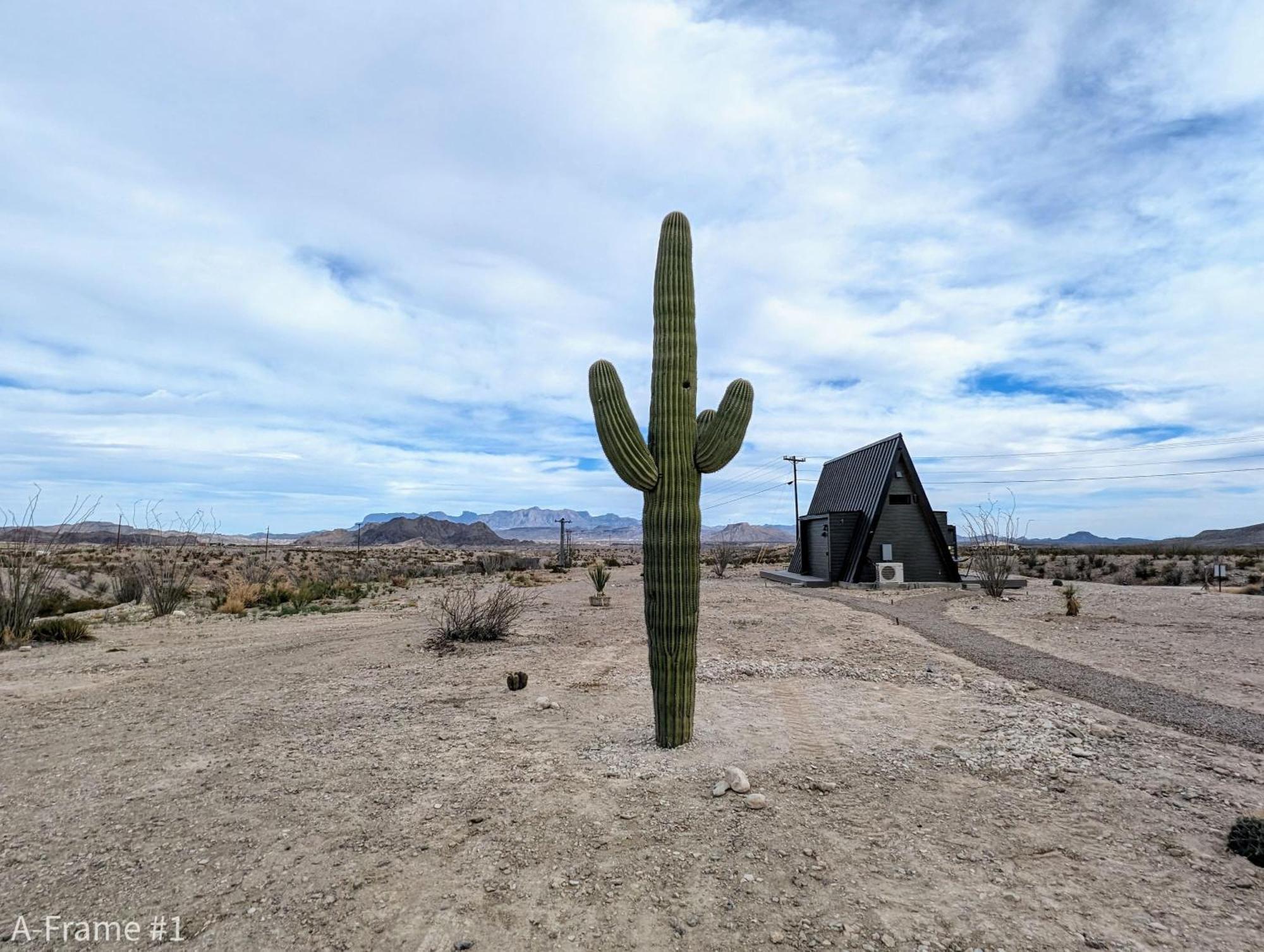 فيلا Stardust Big Bend Luxury A-Frame#4 Great Views تيرلينغوا المظهر الخارجي الصورة